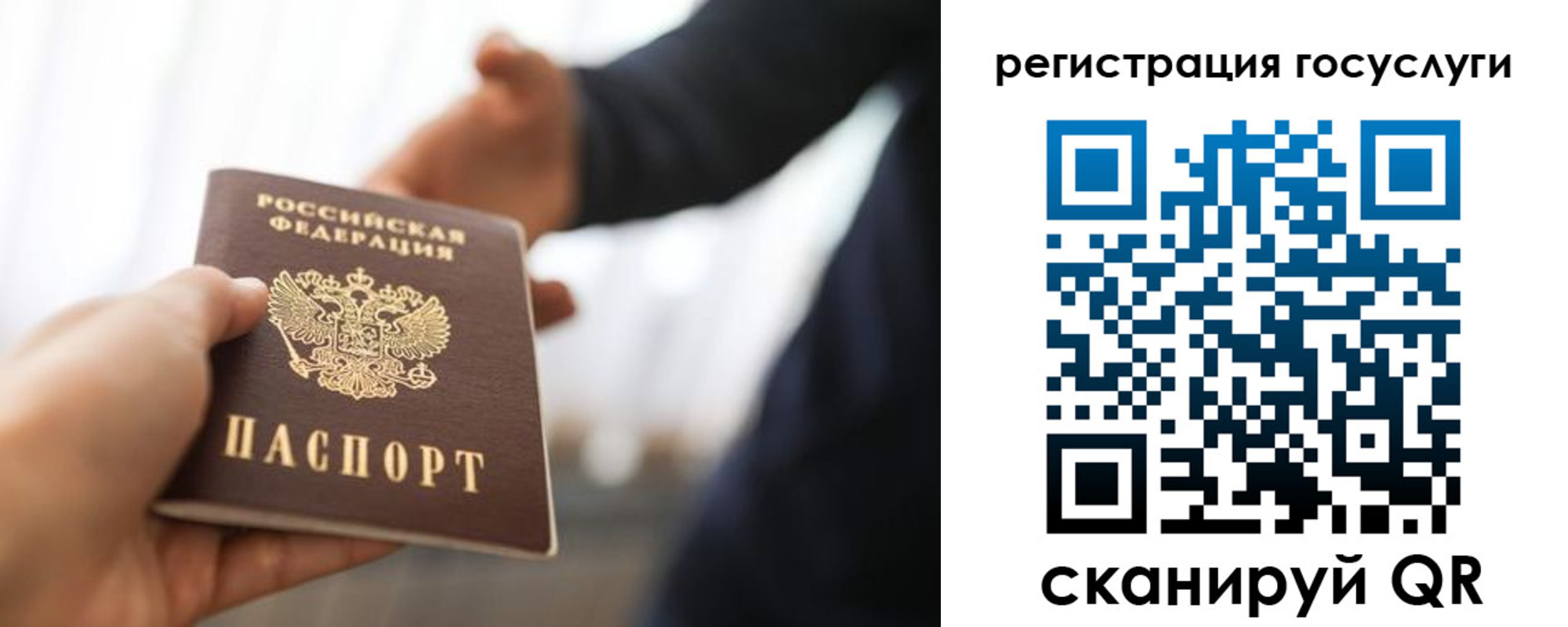 временная регистрация поиск в Алексеевке